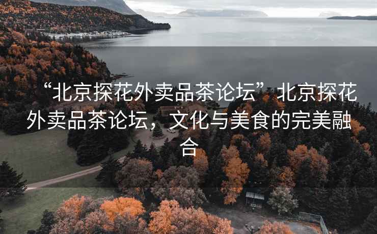 “北京探花外賣品茶論壇”北京探花外賣品茶論壇，文化與美食的完美融合