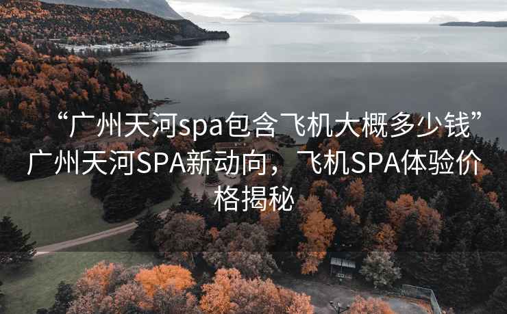 “廣州天河spa包含飛機(jī)大概多少錢”廣州天河SPA新動向，飛機(jī)SPA體驗(yàn)價(jià)格揭秘