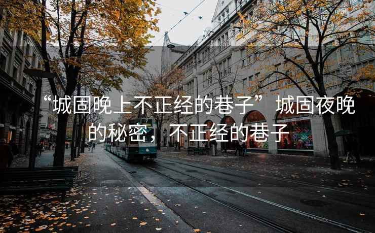 “城固晚上不正經(jīng)的巷子”城固夜晚的秘密，不正經(jīng)的巷子