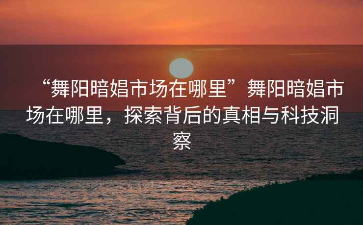 “舞陽暗娼市場在哪里”舞陽暗娼市場在哪里，探索背后的真相與科技洞察