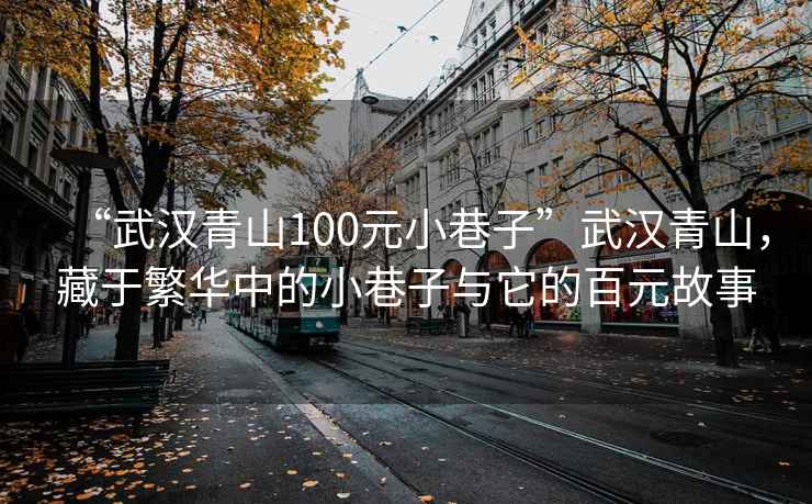“武漢青山100元小巷子”武漢青山，藏于繁華中的小巷子與它的百元故事
