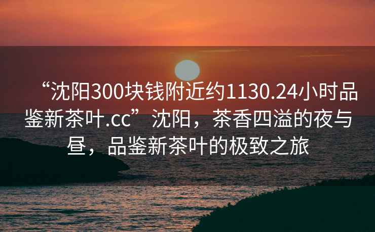 “沈陽(yáng)300塊錢附近約1130.24小時(shí)品鑒新茶葉.cc”沈陽(yáng)，茶香四溢的夜與晝，品鑒新茶葉的極致之旅