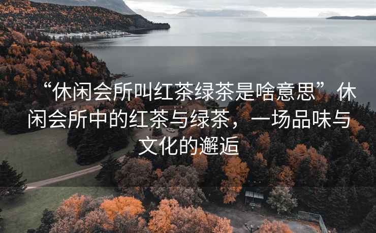 “休閑會(huì)所叫紅茶綠茶是啥意思”休閑會(huì)所中的紅茶與綠茶，一場品味與文化的邂逅