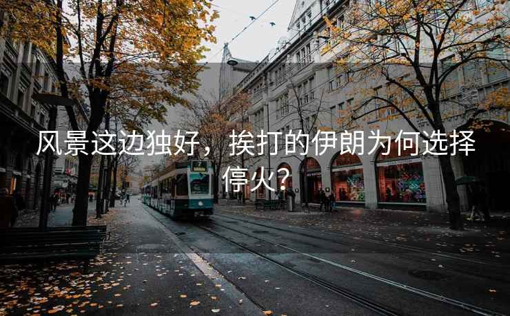 風(fēng)景這邊獨(dú)好，挨打的伊朗為何選擇?；?？