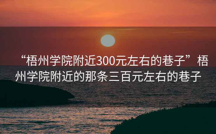 “梧州學(xué)院附近300元左右的巷子”梧州學(xué)院附近的那條三百元左右的巷子
