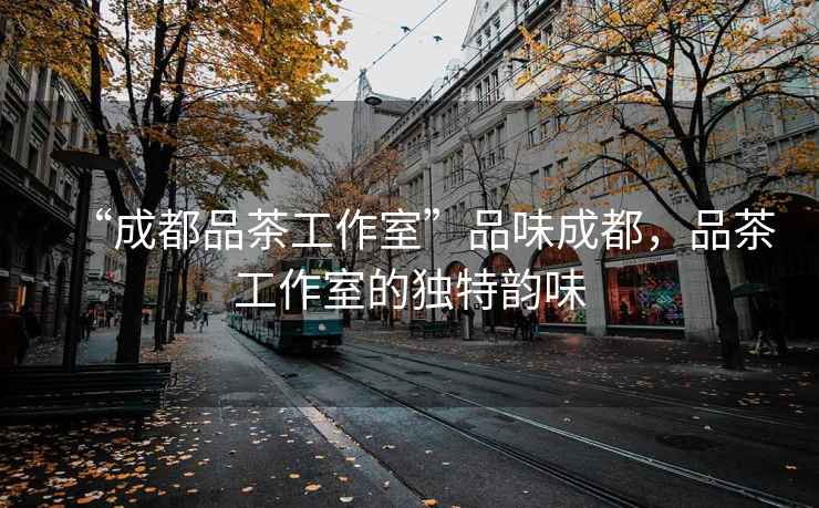 “成都品茶工作室”品味成都，品茶工作室的獨特韻味