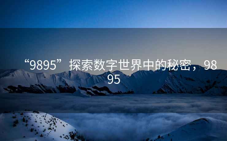 “9895”探索數(shù)字世界中的秘密，9895