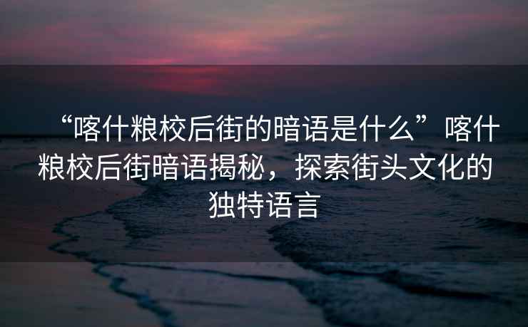 “喀什糧校后街的暗語是什么”喀什糧校后街暗語揭秘，探索街頭文化的獨特語言