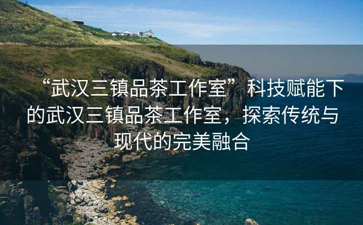 “武漢三鎮(zhèn)品茶工作室”科技賦能下的武漢三鎮(zhèn)品茶工作室，探索傳統(tǒng)與現(xiàn)代的完美融合