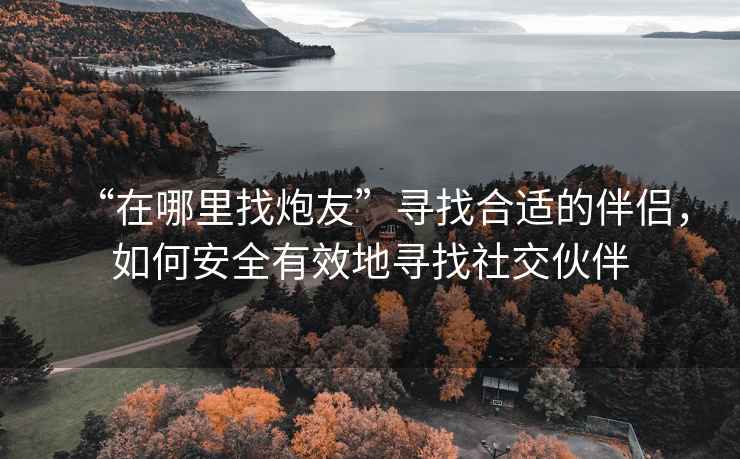 “在哪里找炮友”尋找合適的伴侶，如何安全有效地尋找社交伙伴