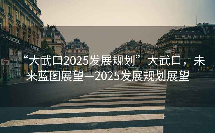 “大武口2025發(fā)展規(guī)劃”大武口，未來藍(lán)圖展望—2025發(fā)展規(guī)劃展望