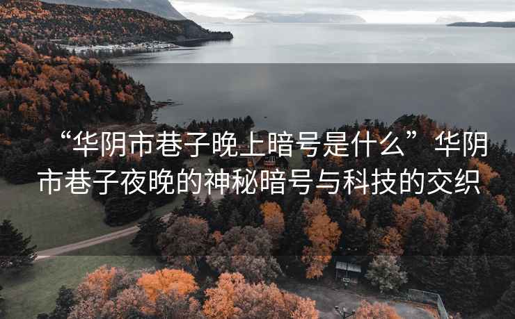 “華陰市巷子晚上暗號是什么”華陰市巷子夜晚的神秘暗號與科技的交織