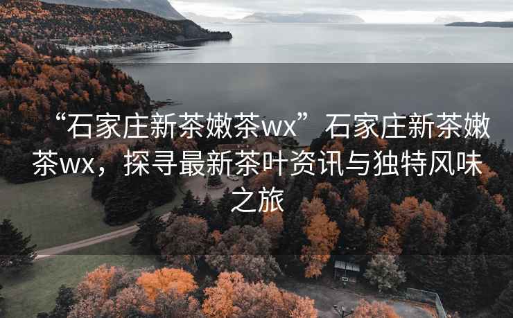 “石家莊新茶嫩茶wx”石家莊新茶嫩茶wx，探尋最新茶葉資訊與獨(dú)特風(fēng)味之旅