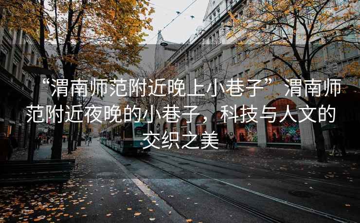 “渭南師范附近晚上小巷子”渭南師范附近夜晚的小巷子，科技與人文的交織之美