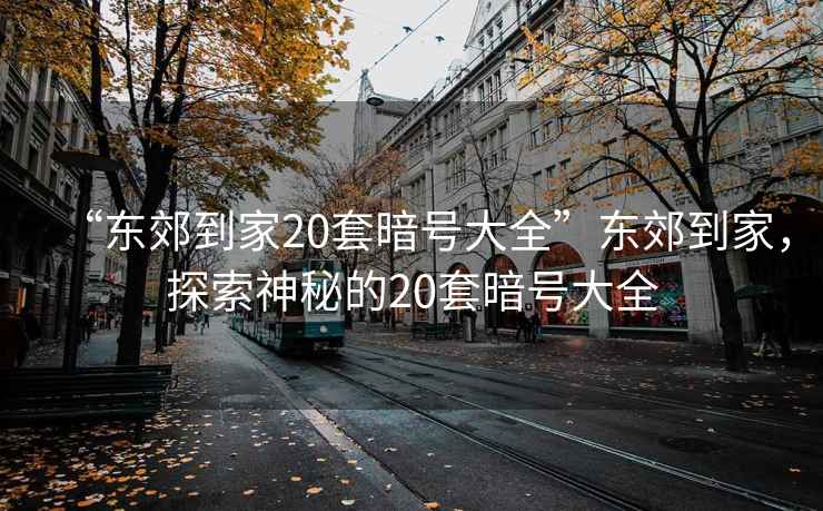 “東郊到家20套暗號大全”東郊到家，探索神秘的20套暗號大全