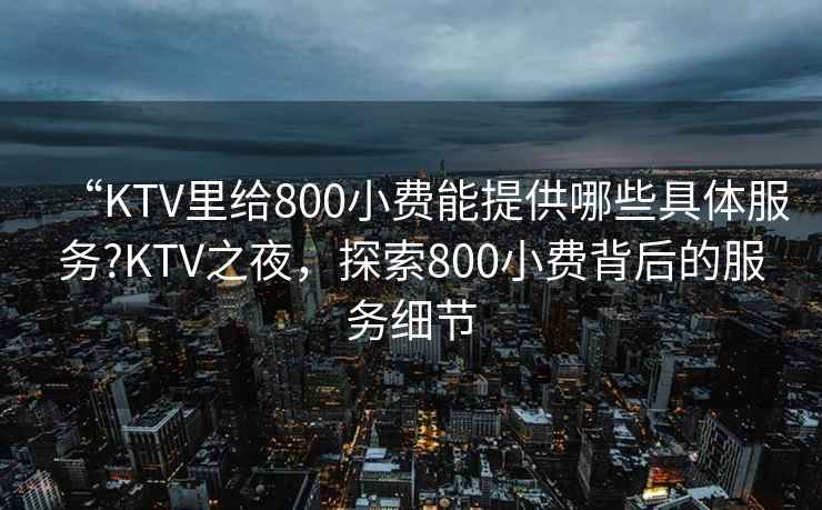 “KTV里給800小費能提供哪些具體服務(wù)?KTV之夜，探索800小費背后的服務(wù)細節(jié)
