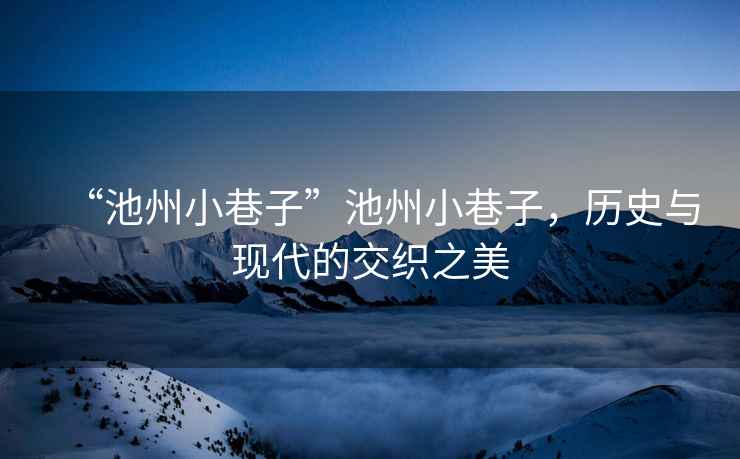“池州小巷子”池州小巷子，歷史與現(xiàn)代的交織之美