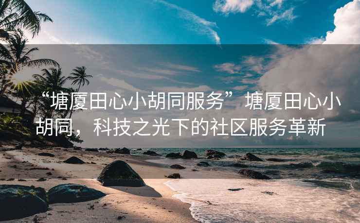 “塘廈田心小胡同服務(wù)”塘廈田心小胡同，科技之光下的社區(qū)服務(wù)革新