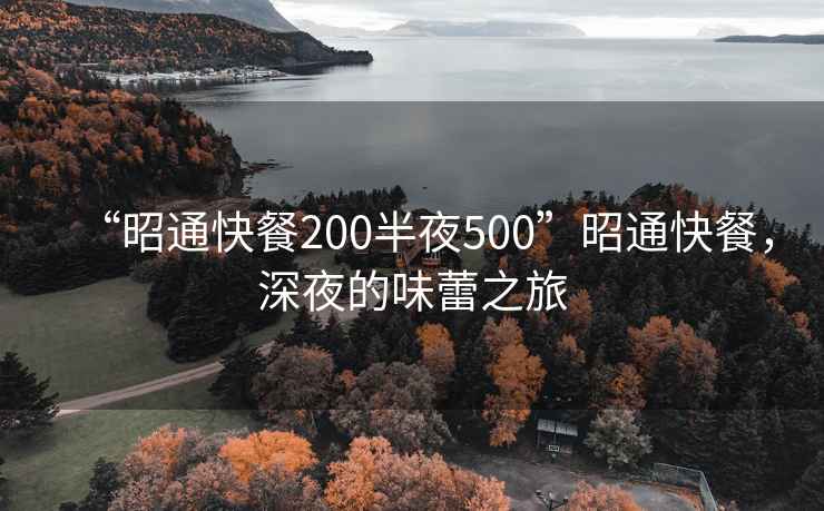 “昭通快餐200半夜500”昭通快餐，深夜的味蕾之旅
