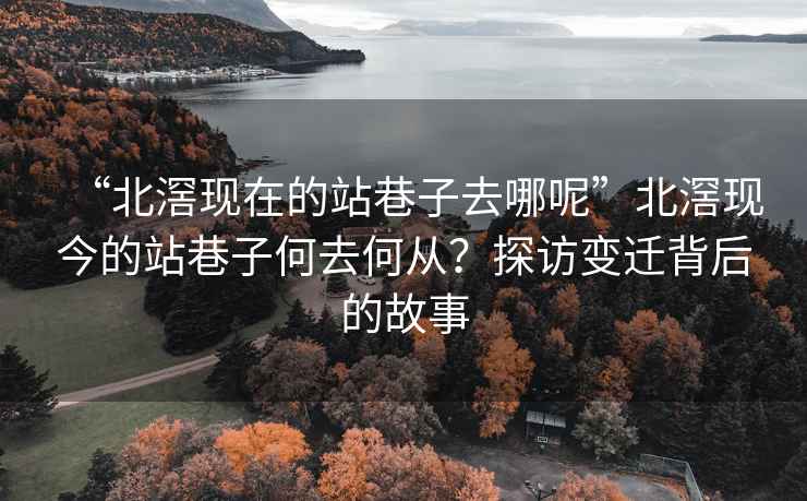 “北滘現(xiàn)在的站巷子去哪呢”北滘現(xiàn)今的站巷子何去何從？探訪變遷背后的故事