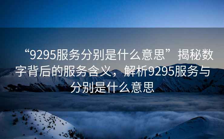 “9295服務(wù)分別是什么意思”揭秘?cái)?shù)字背后的服務(wù)含義，解析9295服務(wù)與分別是什么意思