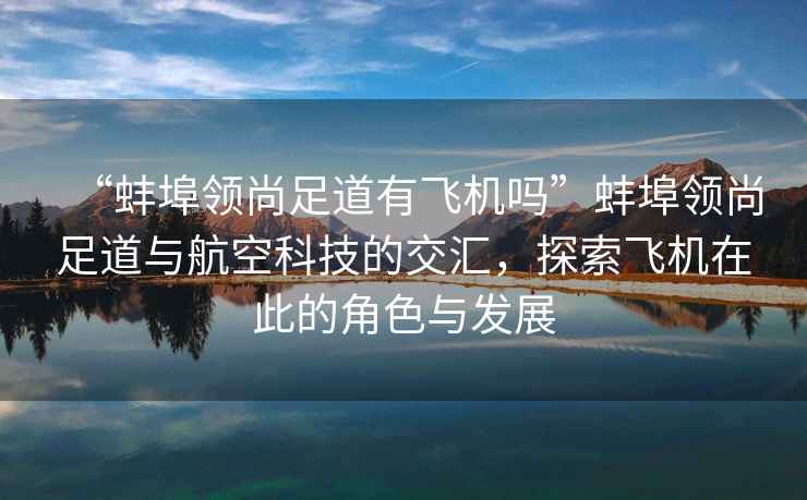 “蚌埠領(lǐng)尚足道有飛機(jī)嗎”蚌埠領(lǐng)尚足道與航空科技的交匯，探索飛機(jī)在此的角色與發(fā)展