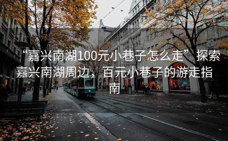 “嘉興南湖100元小巷子怎么走”探索嘉興南湖周邊，百元小巷子的游走指南