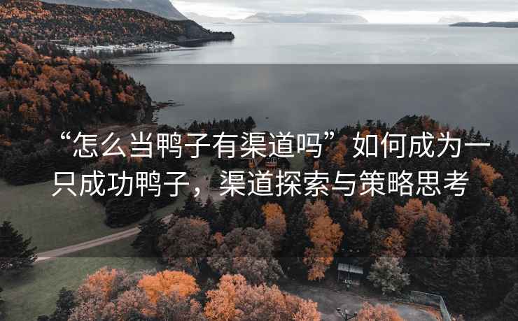 “怎么當(dāng)鴨子有渠道嗎”如何成為一只成功鴨子，渠道探索與策略思考