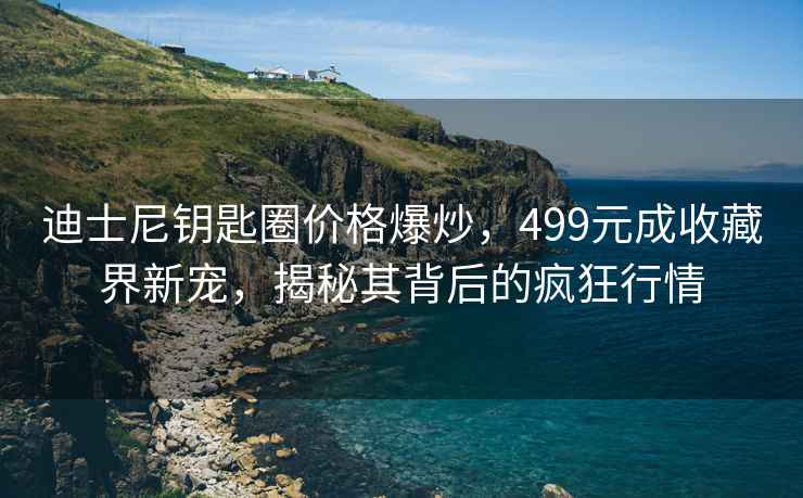 迪士尼鑰匙圈價格爆炒，499元成收藏界新寵，揭秘其背后的瘋狂行情