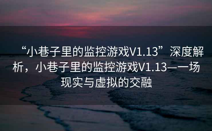 “小巷子里的監(jiān)控游戲V1.13”深度解析，小巷子里的監(jiān)控游戲V1.13—一場(chǎng)現(xiàn)實(shí)與虛擬的交融