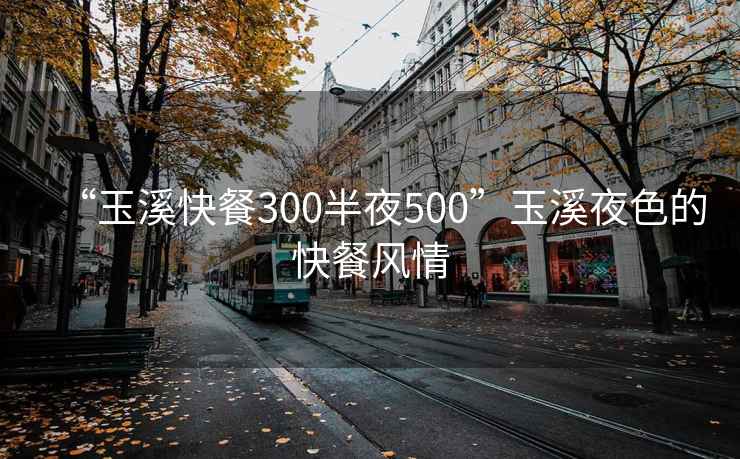 “玉溪快餐300半夜500”玉溪夜色的快餐風(fēng)情