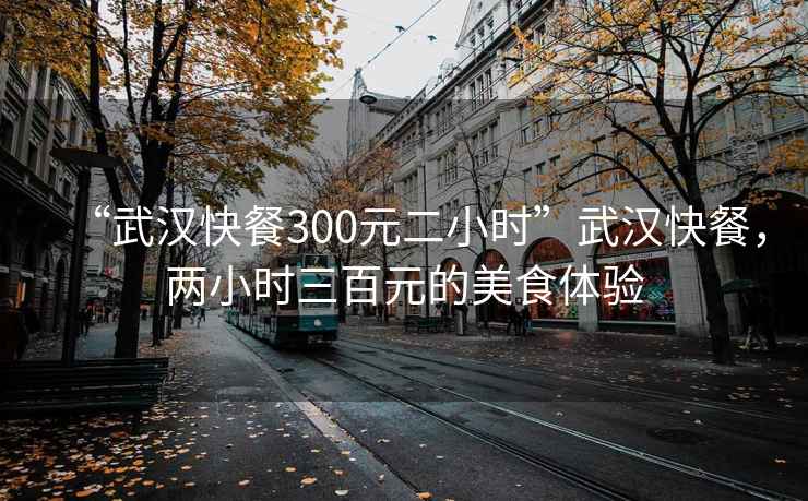 “武漢快餐300元二小時”武漢快餐，兩小時三百元的美食體驗