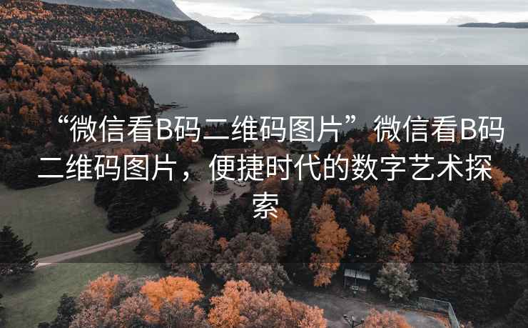 “微信看B碼二維碼圖片”微信看B碼二維碼圖片，便捷時代的數(shù)字藝術探索