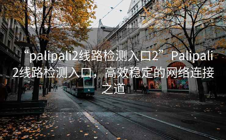 “palipali2線路檢測(cè)入口2”P(pán)alipali 2線路檢測(cè)入口，高效穩(wěn)定的網(wǎng)絡(luò)連接之道