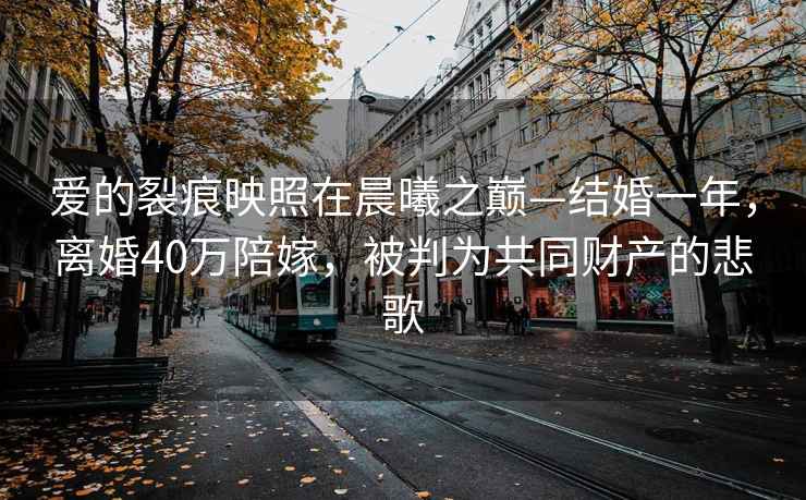 愛的裂痕映照在晨曦之巔—結(jié)婚一年，離婚40萬陪嫁，被判為共同財(cái)產(chǎn)的悲歌