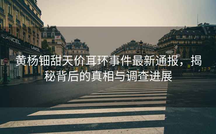 黃楊鈿甜天價(jià)耳環(huán)事件最新通報(bào)，揭秘背后的真相與調(diào)查進(jìn)展