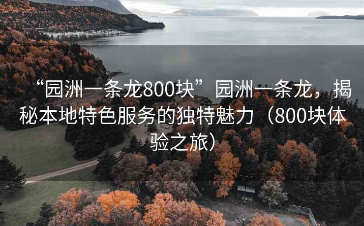 “園洲一條龍800塊”園洲一條龍，揭秘本地特色服務(wù)的獨(dú)特魅力（800塊體驗(yàn)之旅）