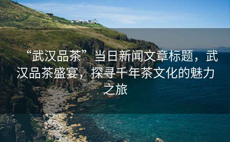 “武漢品茶”當(dāng)日新聞文章標(biāo)題，武漢品茶盛宴，探尋千年茶文化的魅力之旅