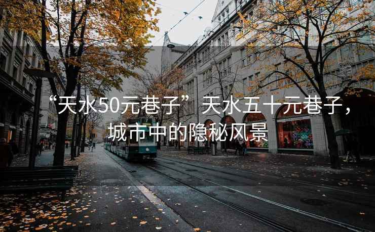 “天水50元巷子”天水五十元巷子，城市中的隱秘風景