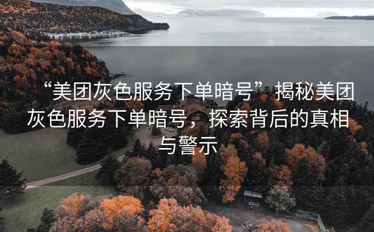 “美團灰色服務(wù)下單暗號”揭秘美團灰色服務(wù)下單暗號，探索背后的真相與警示