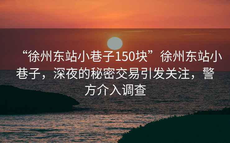 “徐州東站小巷子150塊”徐州東站小巷子，深夜的秘密交易引發(fā)關(guān)注，警方介入調(diào)查