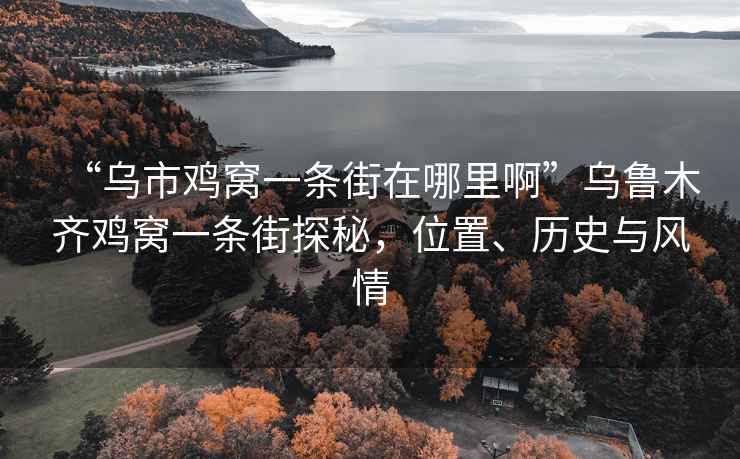 “烏市雞窩一條街在哪里啊”烏魯木齊雞窩一條街探秘，位置、歷史與風情