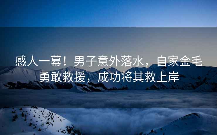 感人一幕！男子意外落水，自家金毛勇敢救援，成功將其救上岸