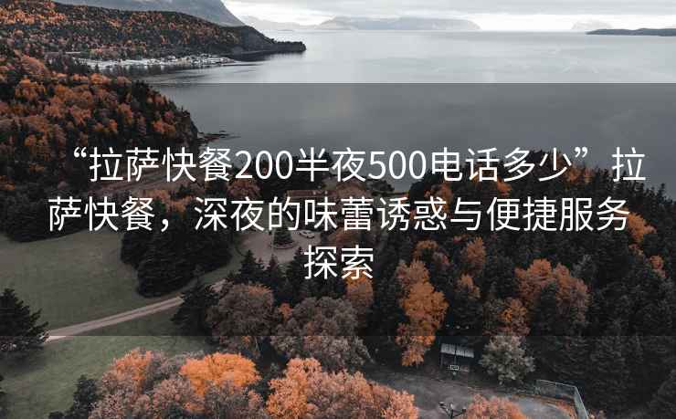 “拉薩快餐200半夜500電話多少”拉薩快餐，深夜的味蕾誘惑與便捷服務(wù)探索
