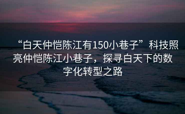 “白天仲愷陳江有150小巷子”科技照亮仲愷陳江小巷子，探尋白天下的數(shù)字化轉(zhuǎn)型之路