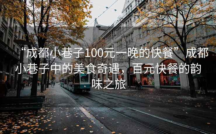 “成都小巷子100元一晚的快餐”成都小巷子中的美食奇遇，百元快餐的韻味之旅