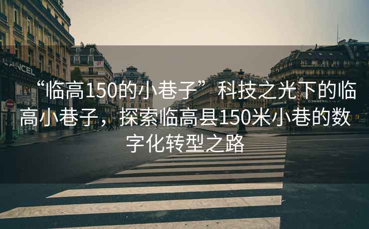 “臨高150的小巷子”科技之光下的臨高小巷子，探索臨高縣150米小巷的數(shù)字化轉(zhuǎn)型之路