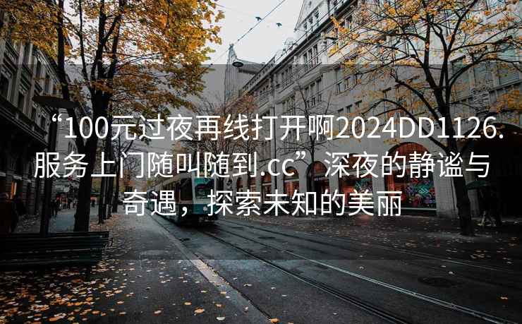 “100元過夜再線打開啊2024DD1126.服務(wù)上門隨叫隨到.cc”深夜的靜謐與奇遇，探索未知的美麗
