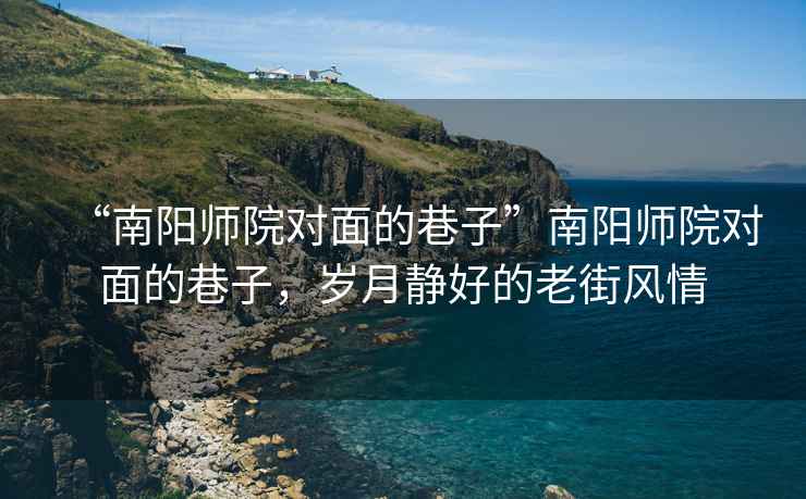 “南陽師院對面的巷子”南陽師院對面的巷子，歲月靜好的老街風(fēng)情