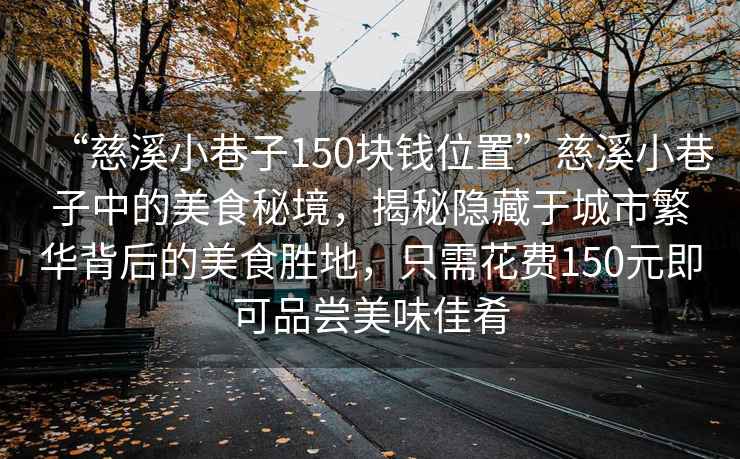 “慈溪小巷子150塊錢位置”慈溪小巷子中的美食秘境，揭秘隱藏于城市繁華背后的美食勝地，只需花費(fèi)150元即可品嘗美味佳肴